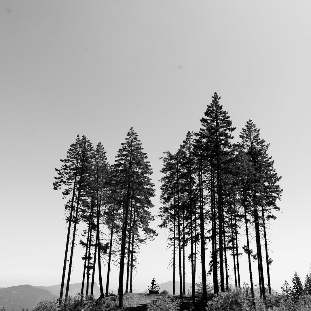 The Best Cycling Destinations in the United States