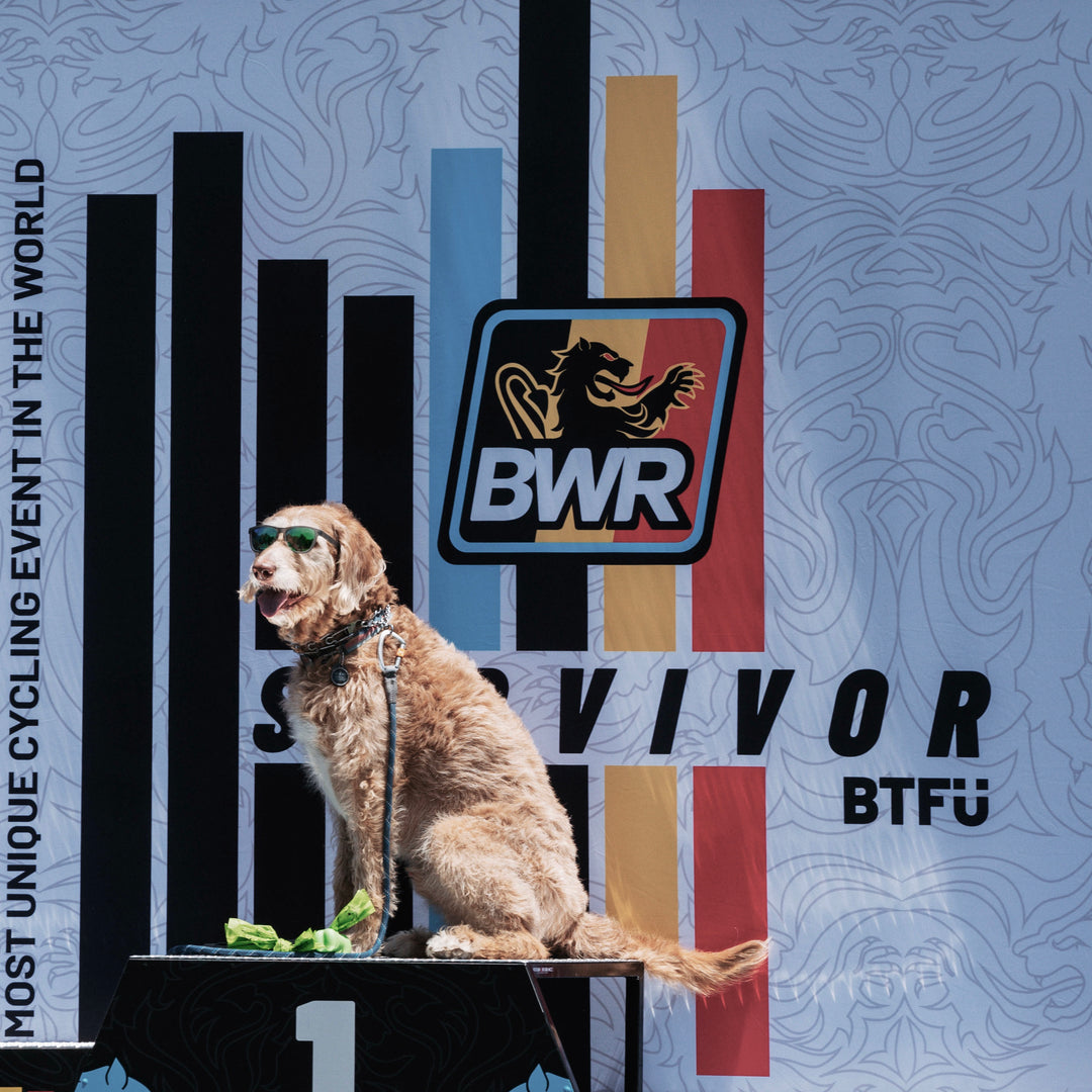 Belgian Waffle Ride North Carolina