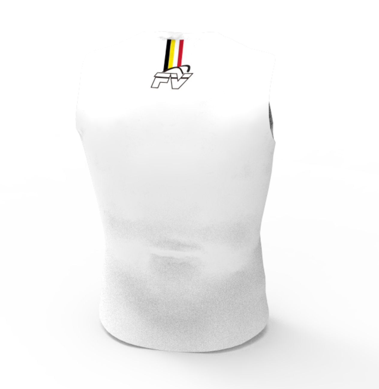 FV Base Layer