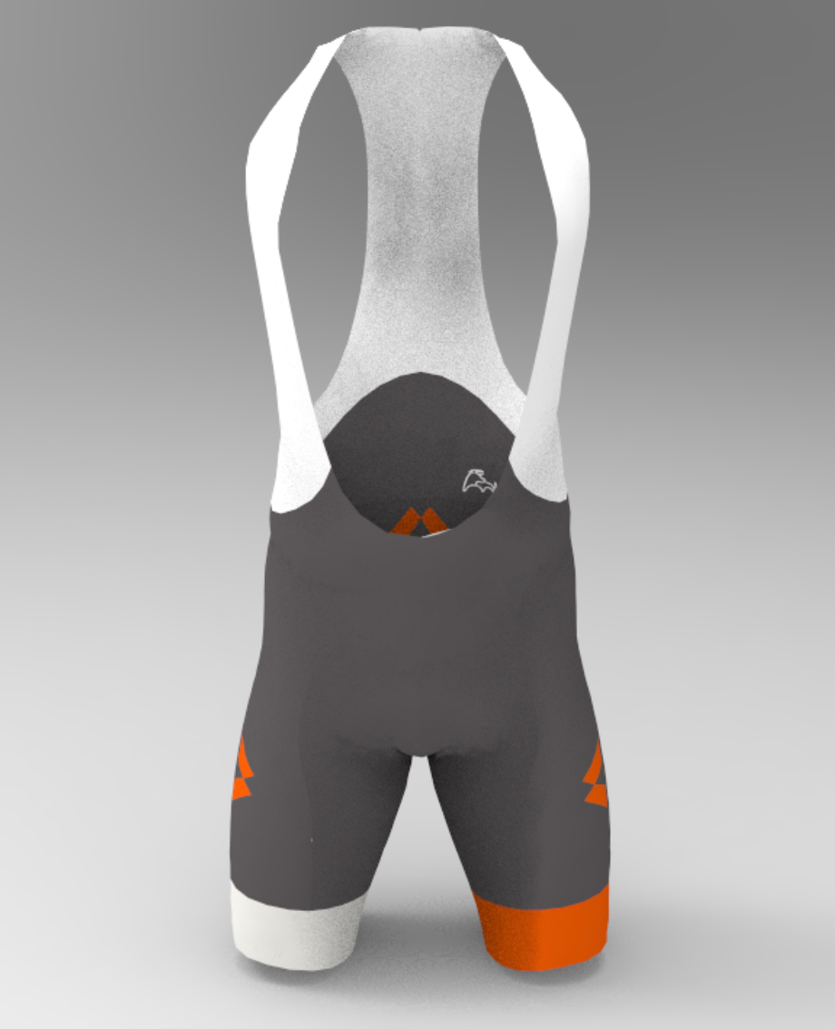 Momentous Training Bib Shorts