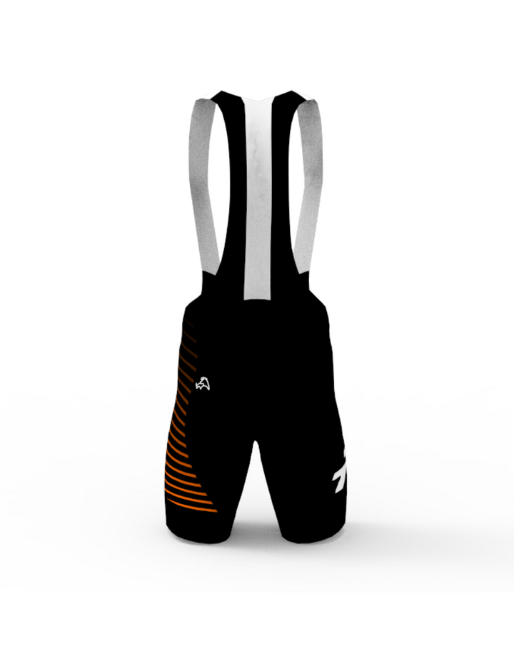 TriRIG Training Bib Shorts