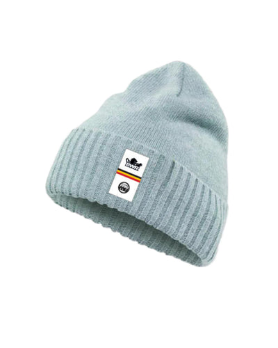 BWR Beanie